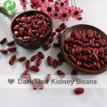 Chinese Good Quality Competitive Price Dark Red Kidney Beans